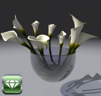 Pot with Calla Lily
