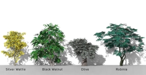2D-3D Trees - Volume 11