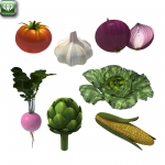 Vegetables Collection n.2