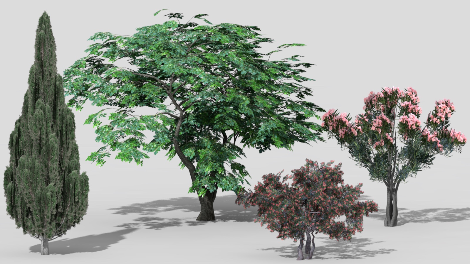 3D 2D Parametric Plants 07 news