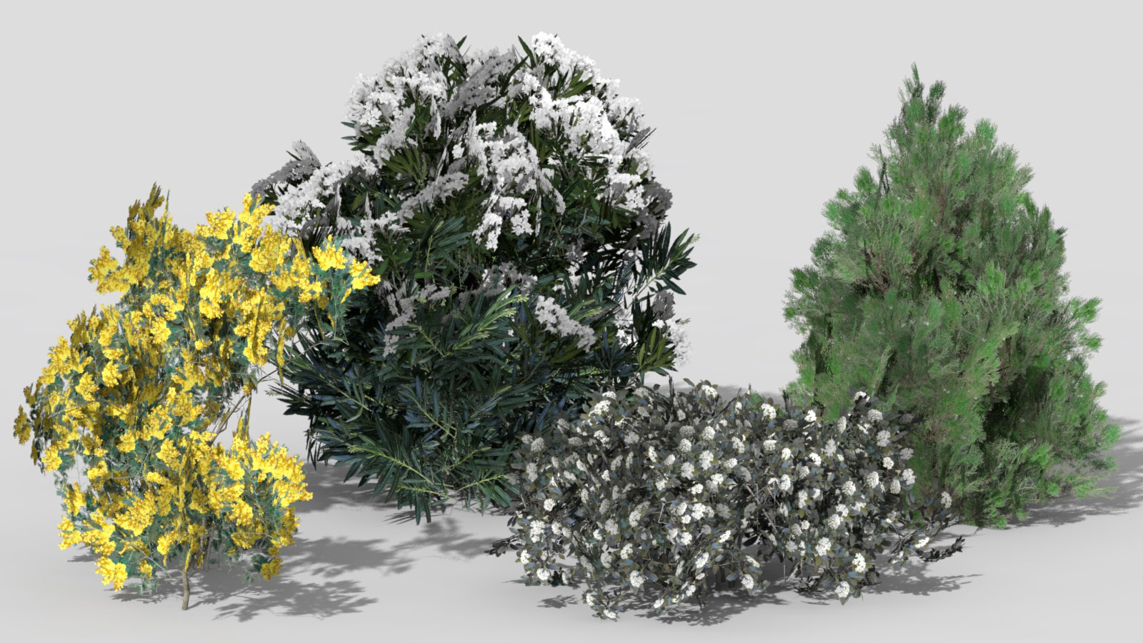 3D 2D Parametric Plants 07 news