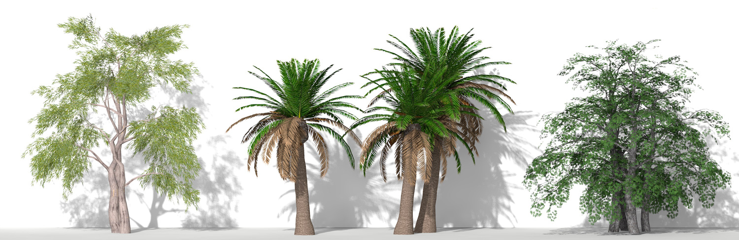 3D Parametric Plants - Volume 15